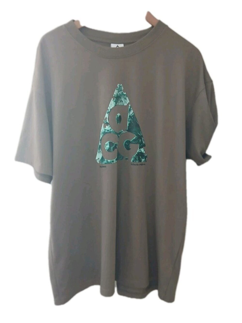 Nike ACG Mount Hood Tee Shirt